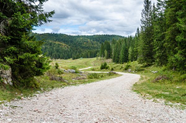Gravel Road Grading in Manchester