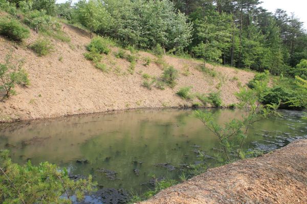 Pond Erosion Repair in Manchester