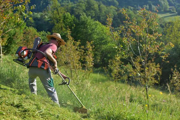 Cost of Slope Trimming in Manchester
