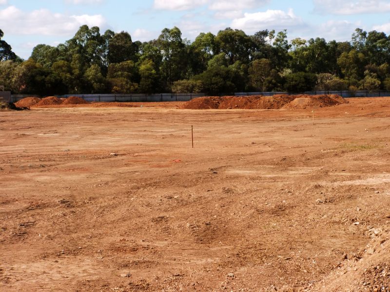 Grading Site in Action