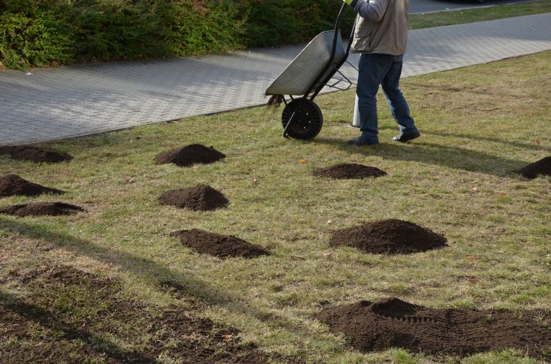 Lawn Regrading